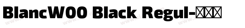 BlancW00 Black Regul字体转换